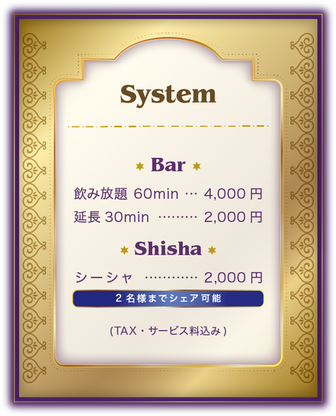 Aladdin Shisha System