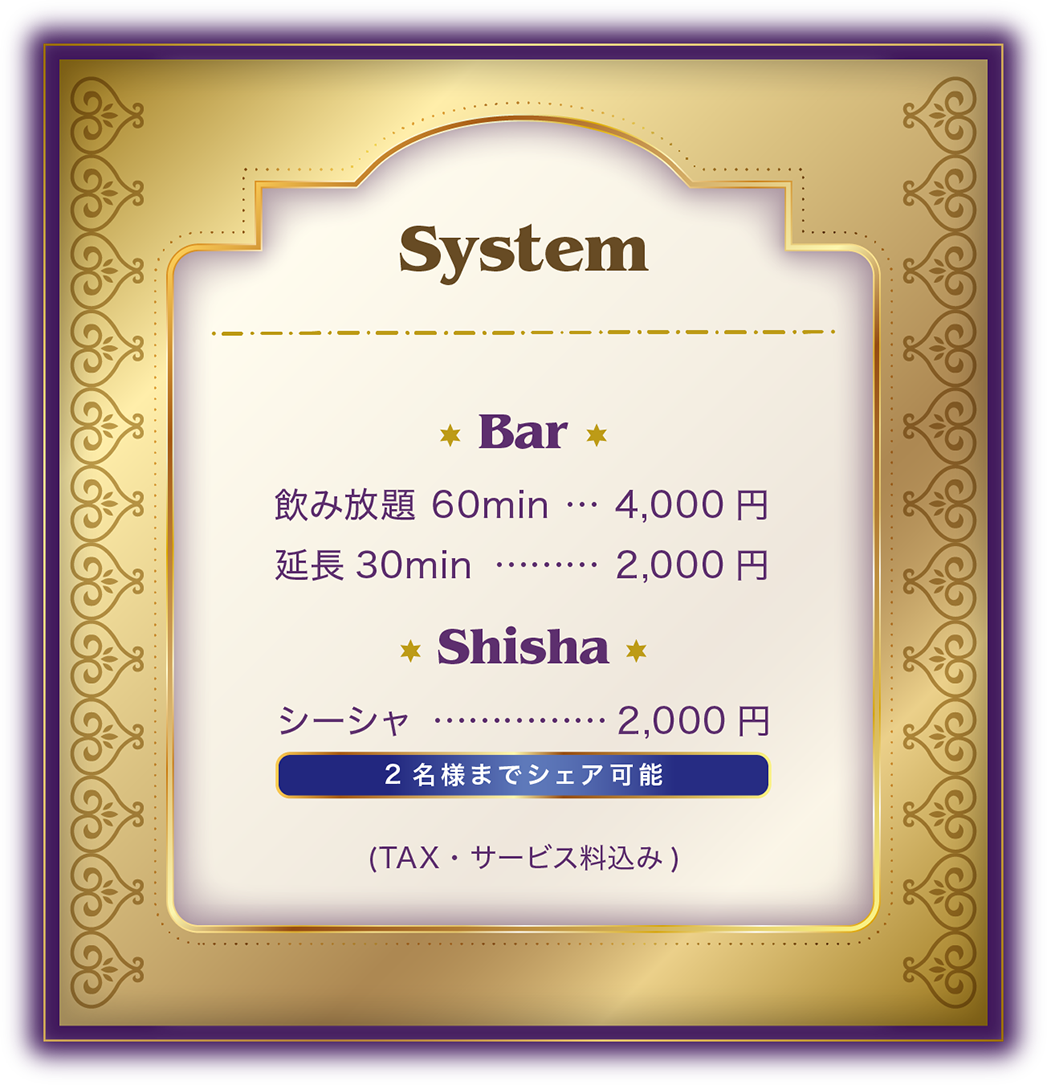 Aladdin Shisha System